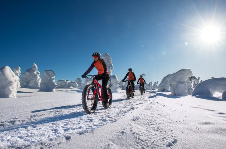 Winterzauber 2026 in Finnisch Lappland