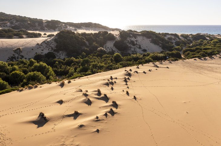 Le Dune Piscinas <div class="m-page-header__rating"><span class="m-page-header__rating--star"></span><span class="m-page-header__rating--star"></span><span class="m-page-header__rating--star"></span><span class="m-page-header__rating--star"></span><span class="m-page-header__rating--star"></span></div>