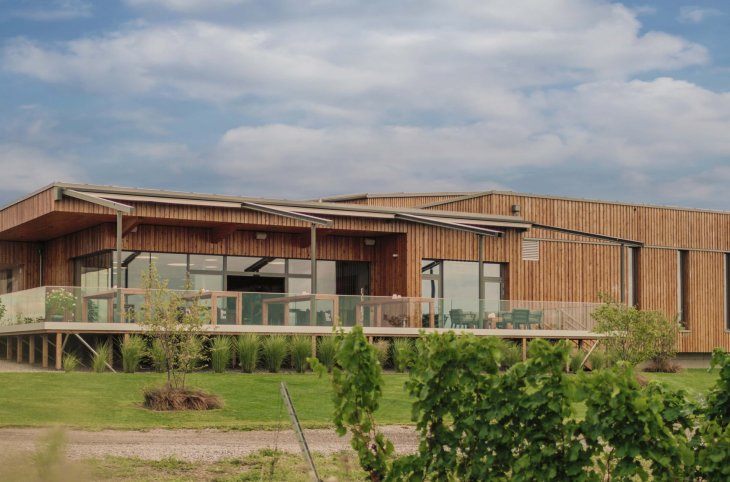 Wein-Erlebnisreise Neusiedlersee