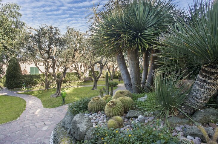 Erlebnisreise Ischia - Hotel Tritone Terme <div class="m-page-header__rating"><span class="m-page-header__rating--star"></span><span class="m-page-header__rating--star"></span><span class="m-page-header__rating--star"></span><span class="m-page-header__rating--star"></span></div>