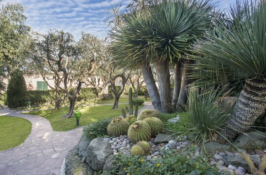 Wanderreise Ischia - Hotel Tritone Terme ****