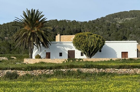 Wandern & Entspannen auf Ibiza - Cala Llenya Resort ****