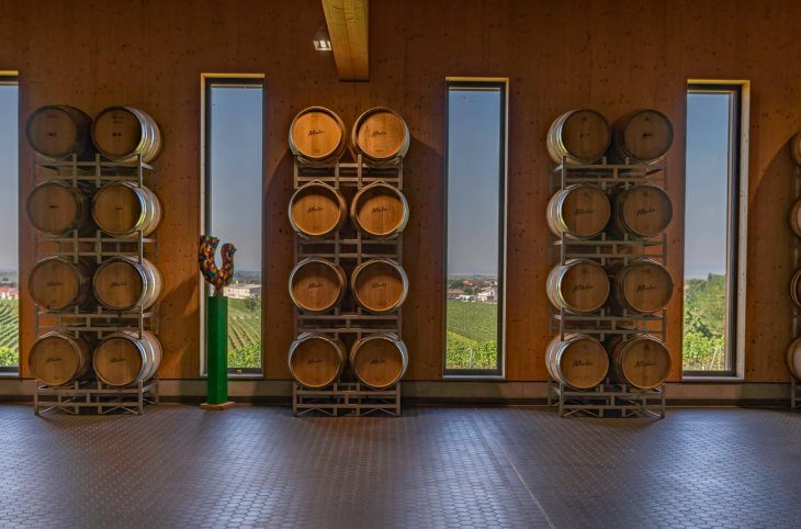 Wein-Erlebnisreise Neusiedlersee