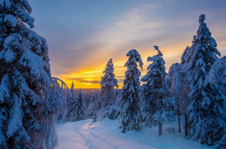 Winterzauber in Finnisch Lappland