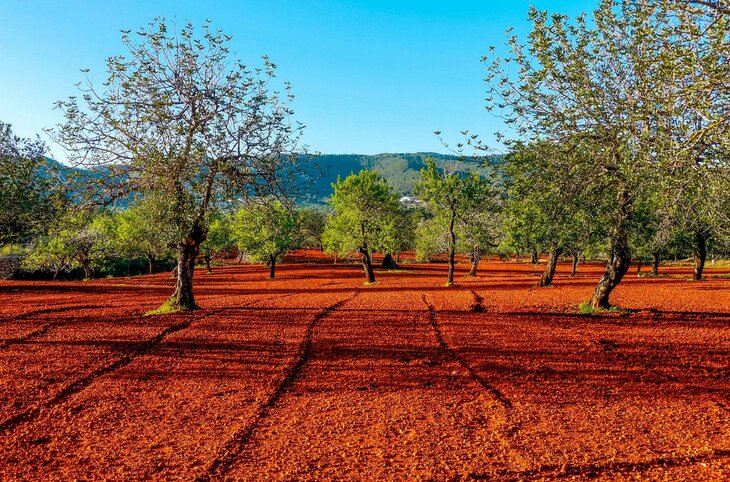 Wandern & Entspannen auf Ibiza
