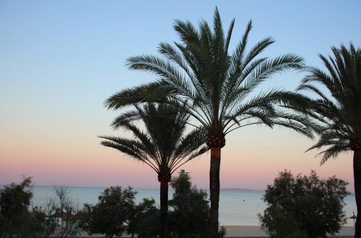 Iberostar Waves Bahia de Palma (adults only) <div class="m-page-header__rating"><span class="m-page-header__rating--star"></span><span class="m-page-header__rating--star"></span><span class="m-page-header__rating--star"></span><span class="m-page-header__rating--star"></span></div>