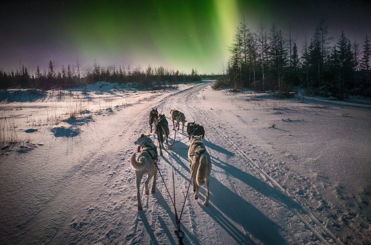 Winterzauber 2026 in Finnisch Lappland