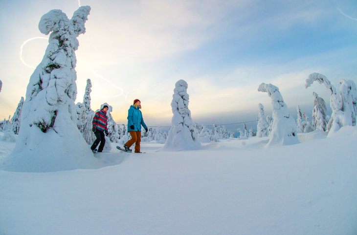 Winterzauber 2026 in Finnisch Lappland