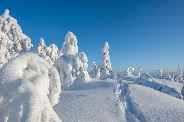 Winterzauber 2026 in Finnisch Lappland