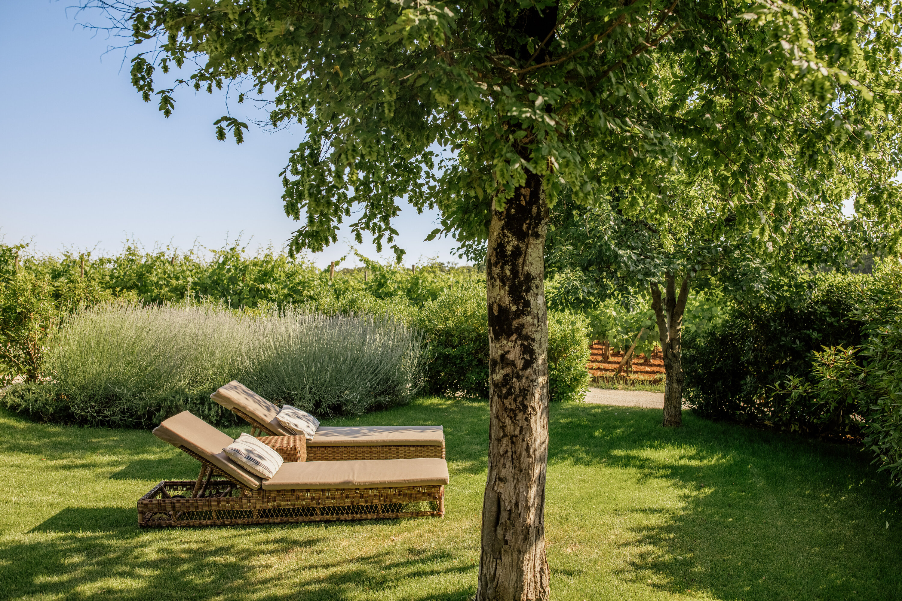 Vineyard Garden Residence